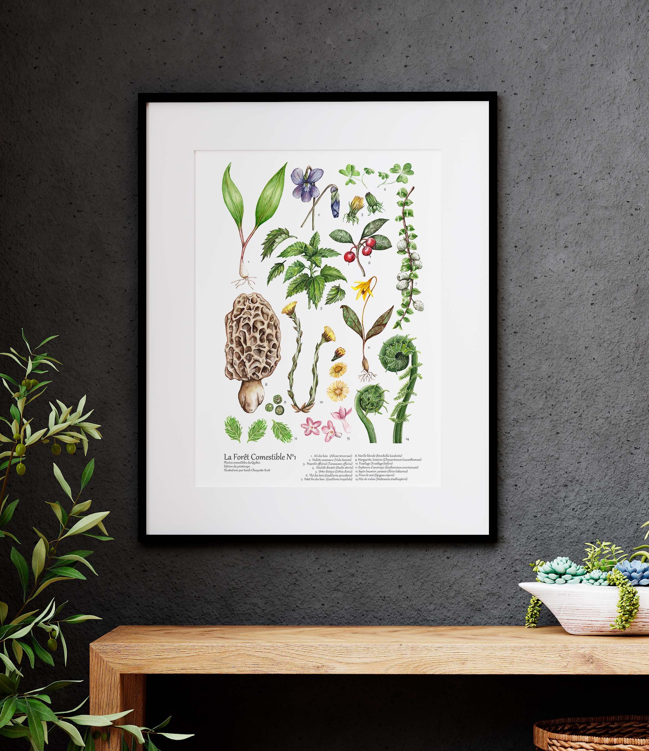 site web mockup mur foncé printemps comestible.jpg