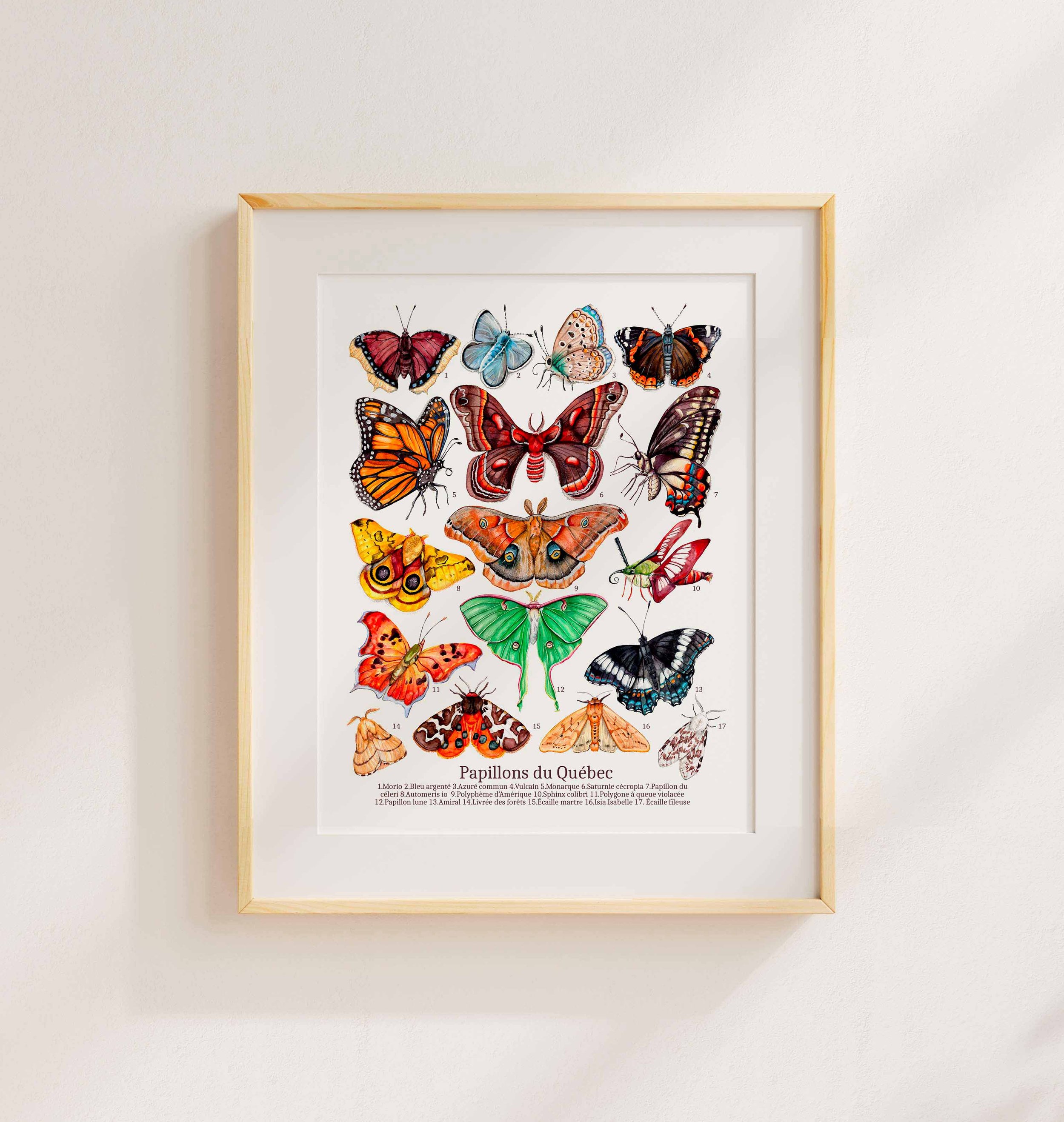 mockup fond cadre neutre pour image 8x10 papillon.jpg