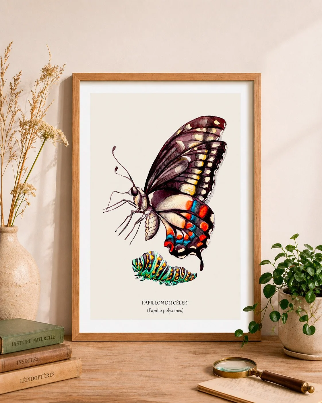 Papillon du céleri cadre mockup.jpg