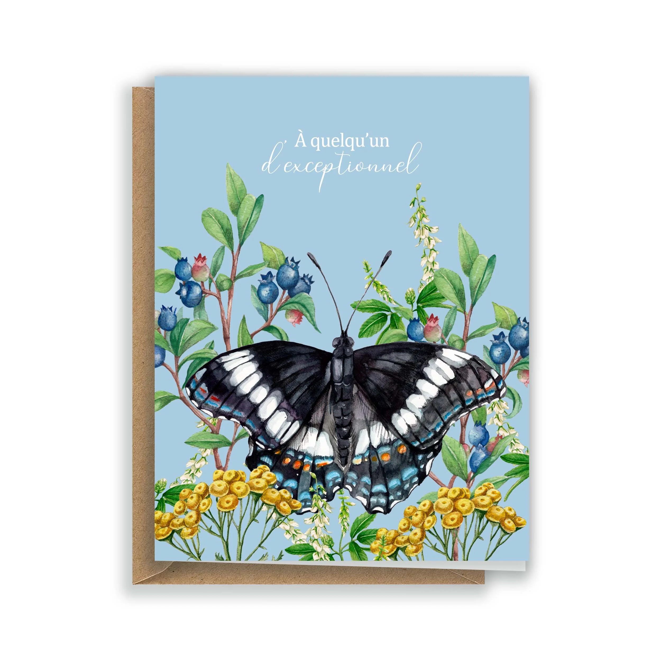 Carte de souhait Amiral.jpg