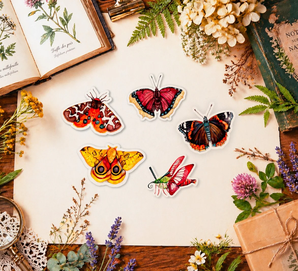 Papillon morio sphinx automeris.jpg