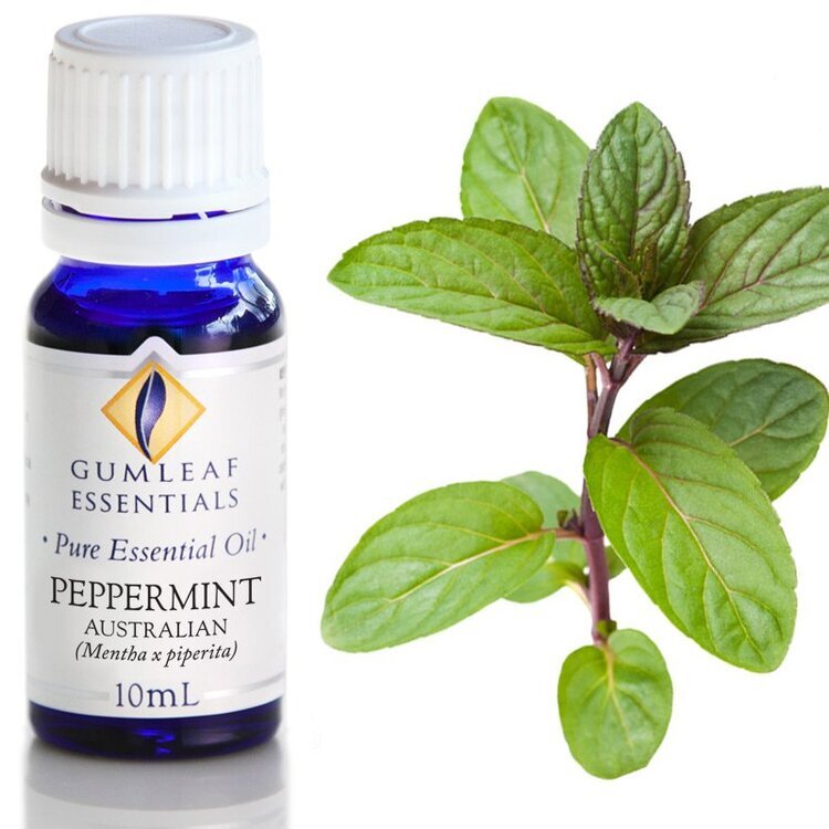 ECO_essential-oil_peppermint-02.jpeg