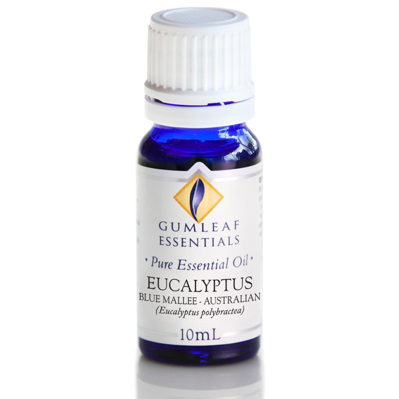 Eucalyptus Blue Mallee Essential Oil