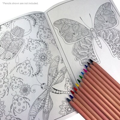 open-with-pencils-ni__gallery.jpeg
