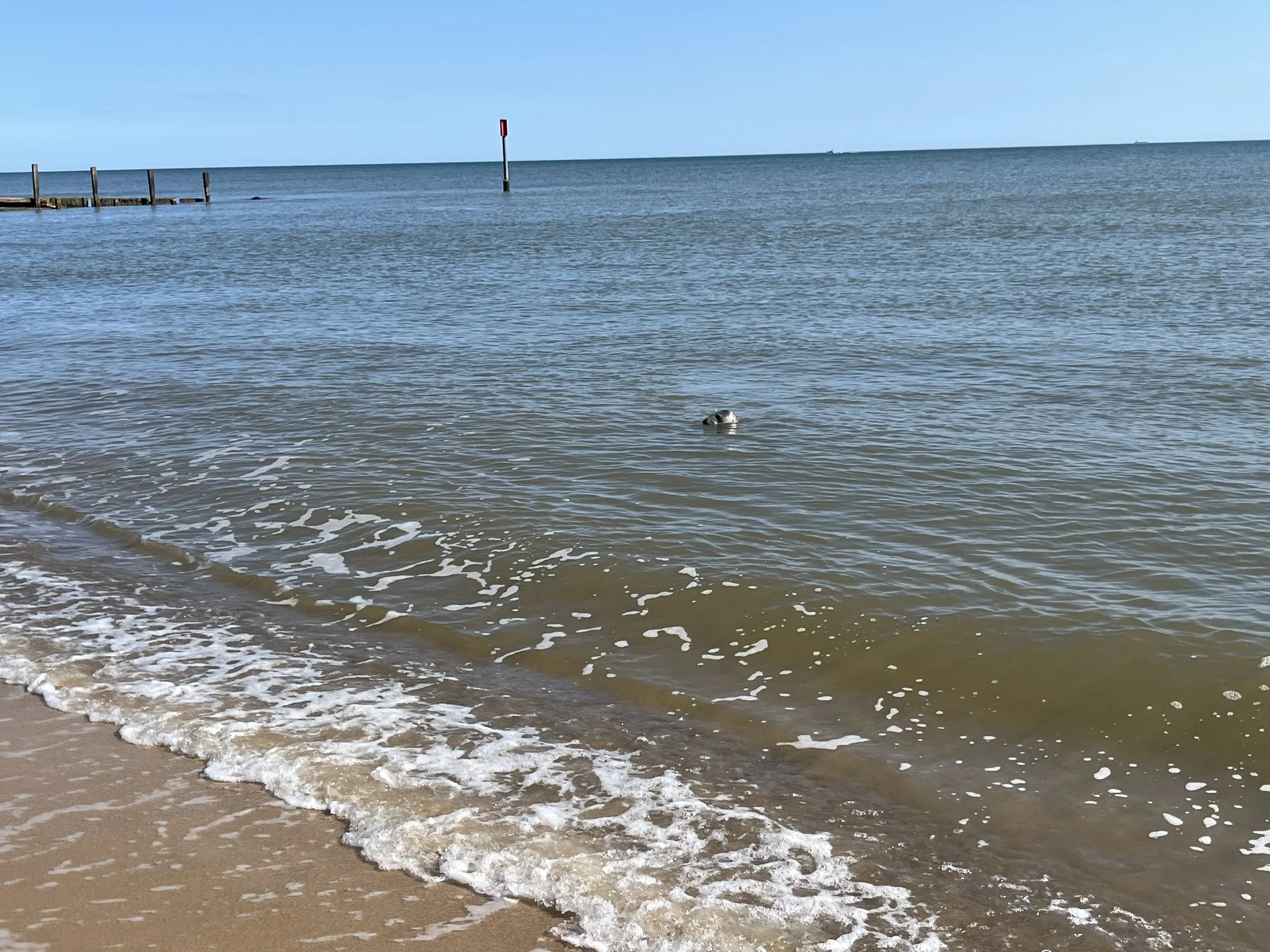 IMG_6761.jpeg