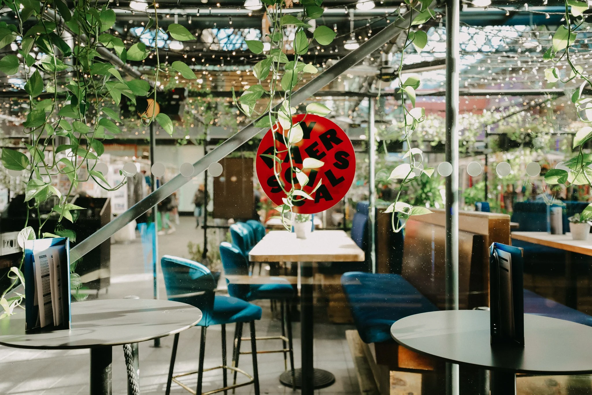 Interior of a cafe or restaurant with a glass window, green plants hanging. Blue chairs surround wooden tables, and string lights are hanging from the ceiling. Players Social Cocktail and Games Bar 