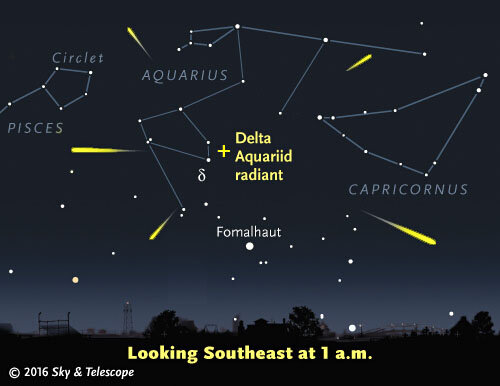 Wishing Stars Cascade through the Night