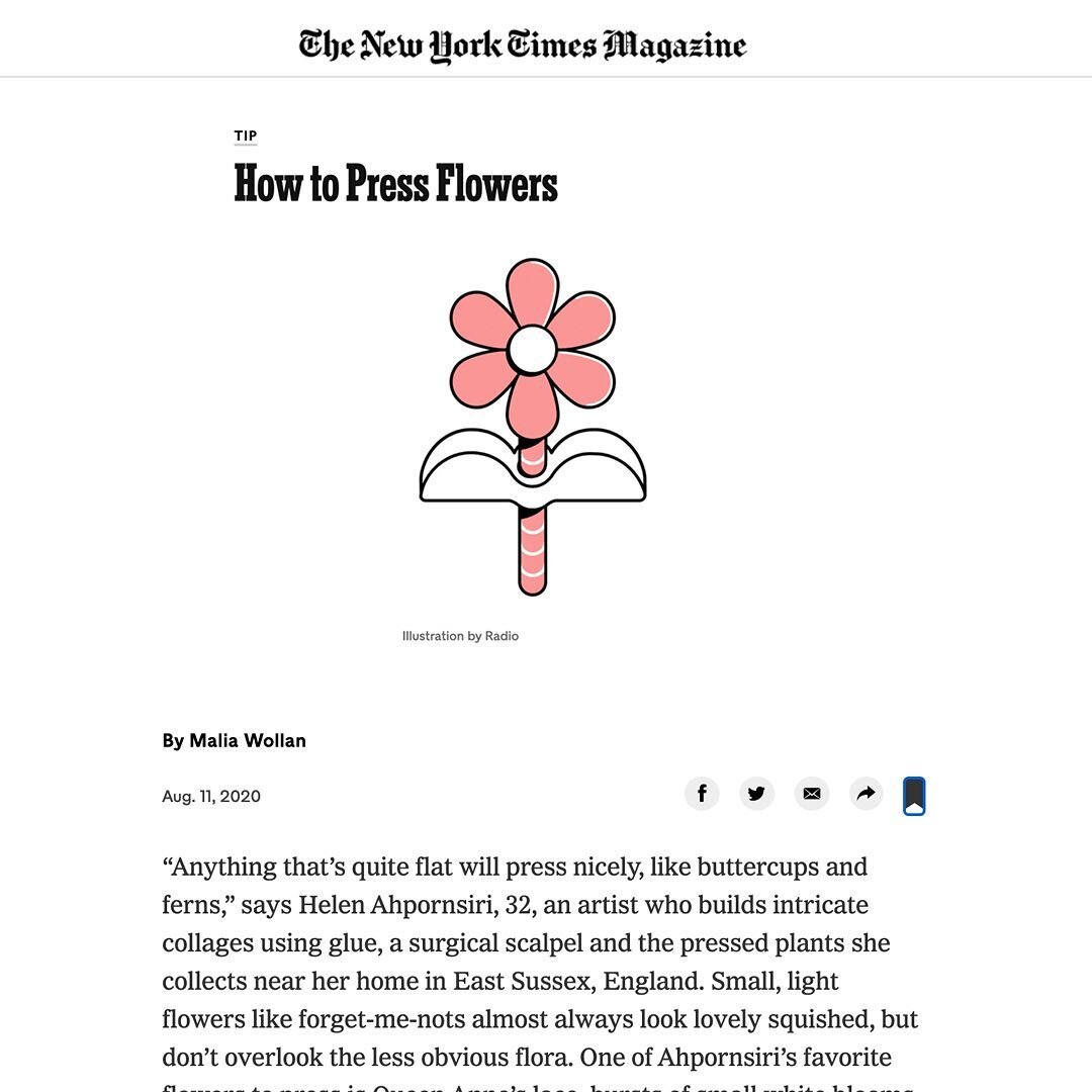 I spoke to Malia Wollan about how to press flowers for a column in today&rsquo;s edition of The New York Times Magazine. You can see the article in the print edition today, as well as on the NYT website. It&rsquo;s brief but really useful for if you&