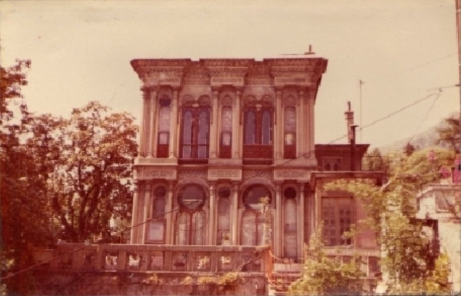 1981
