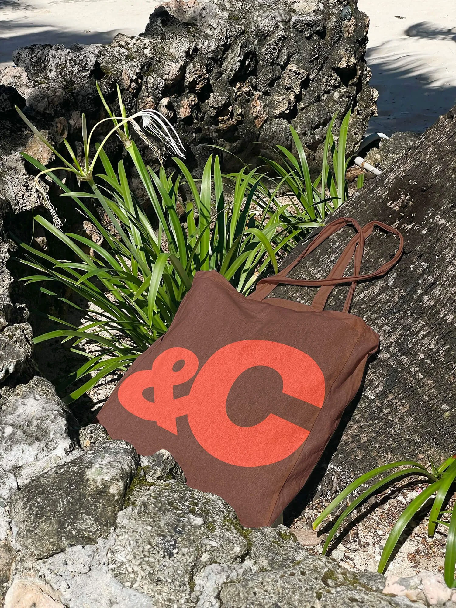 &C Media Logo Design.jpg