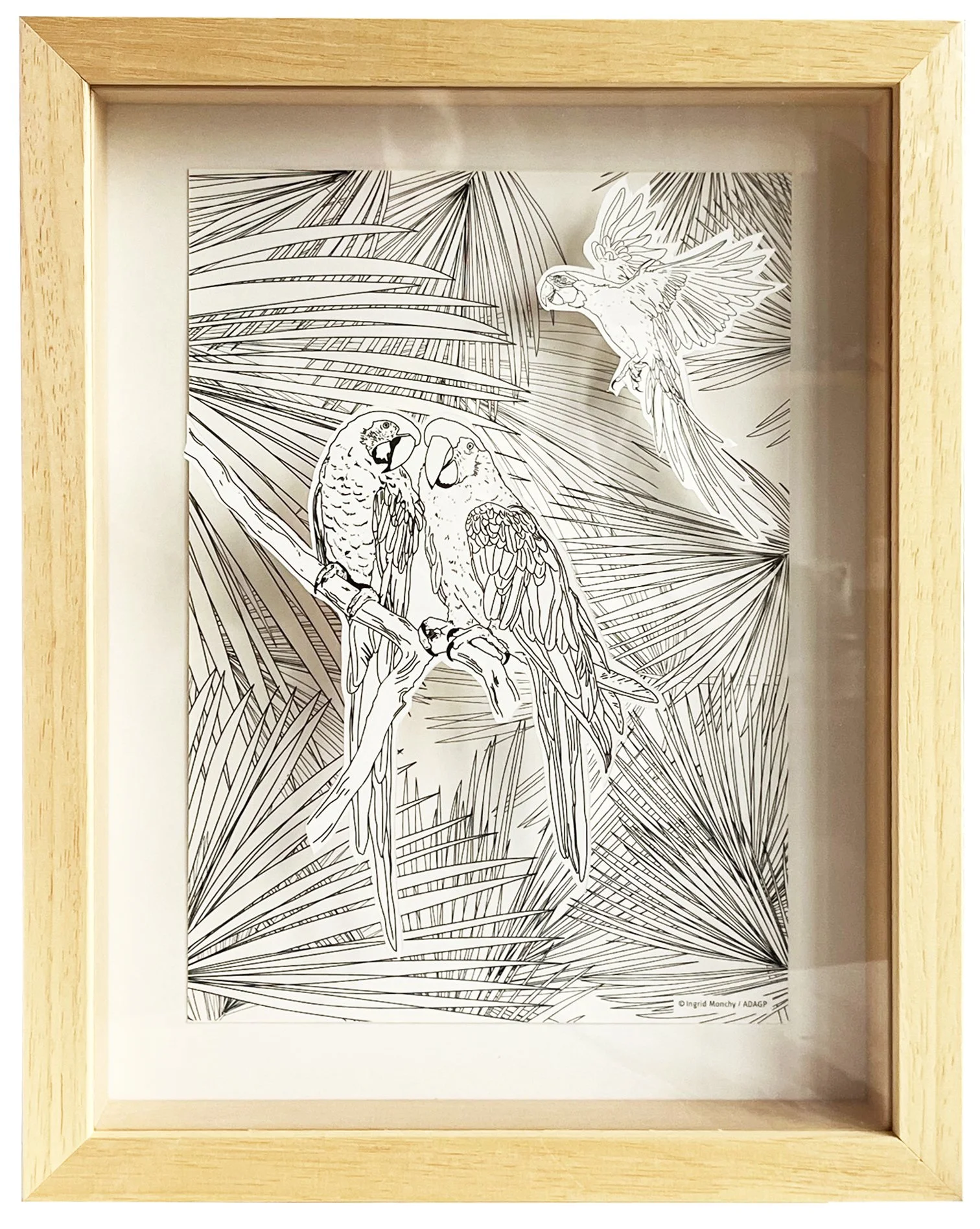 Oiseaux des Tropiques  (version FR-EN)