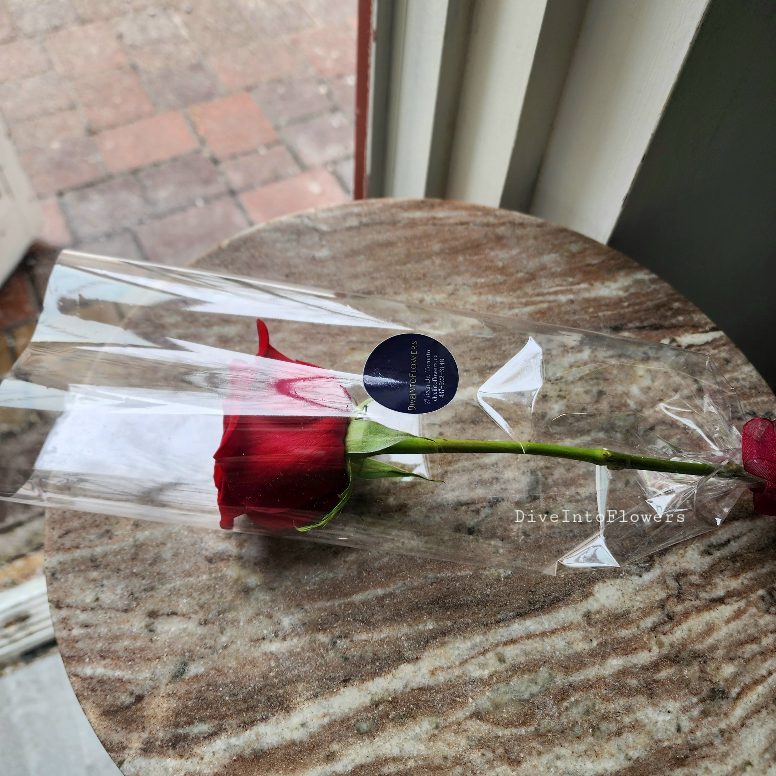 Dive Into Flowers - Single Rose