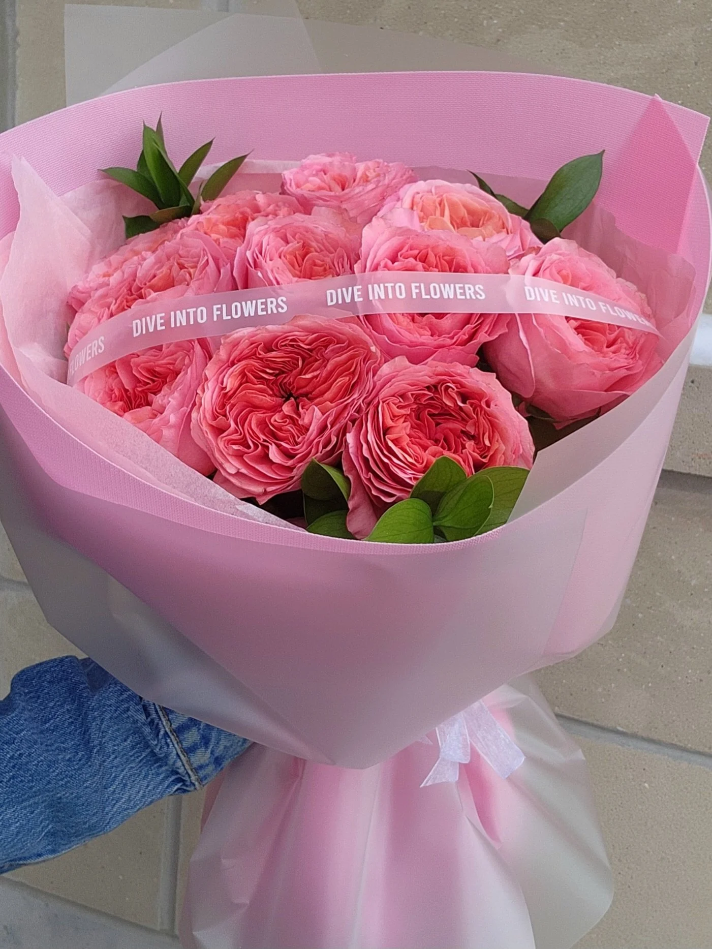 Garden roses-Candy-Dive Into Flowers.jpg