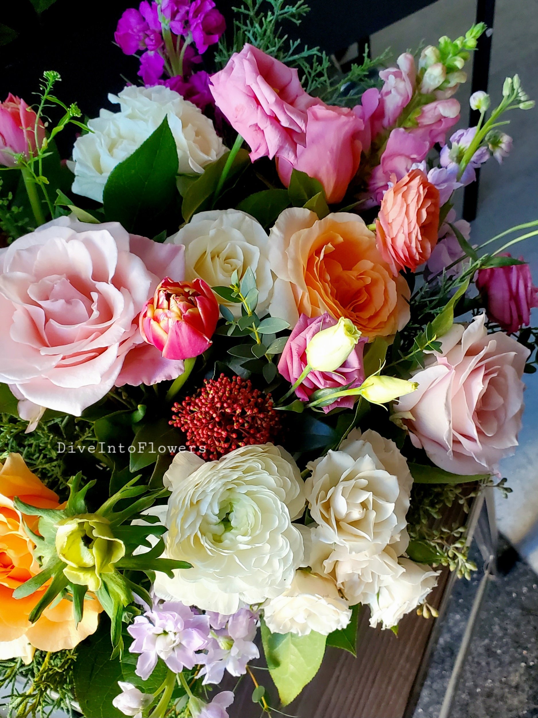 DiveIntoFlowers Colors.jpg