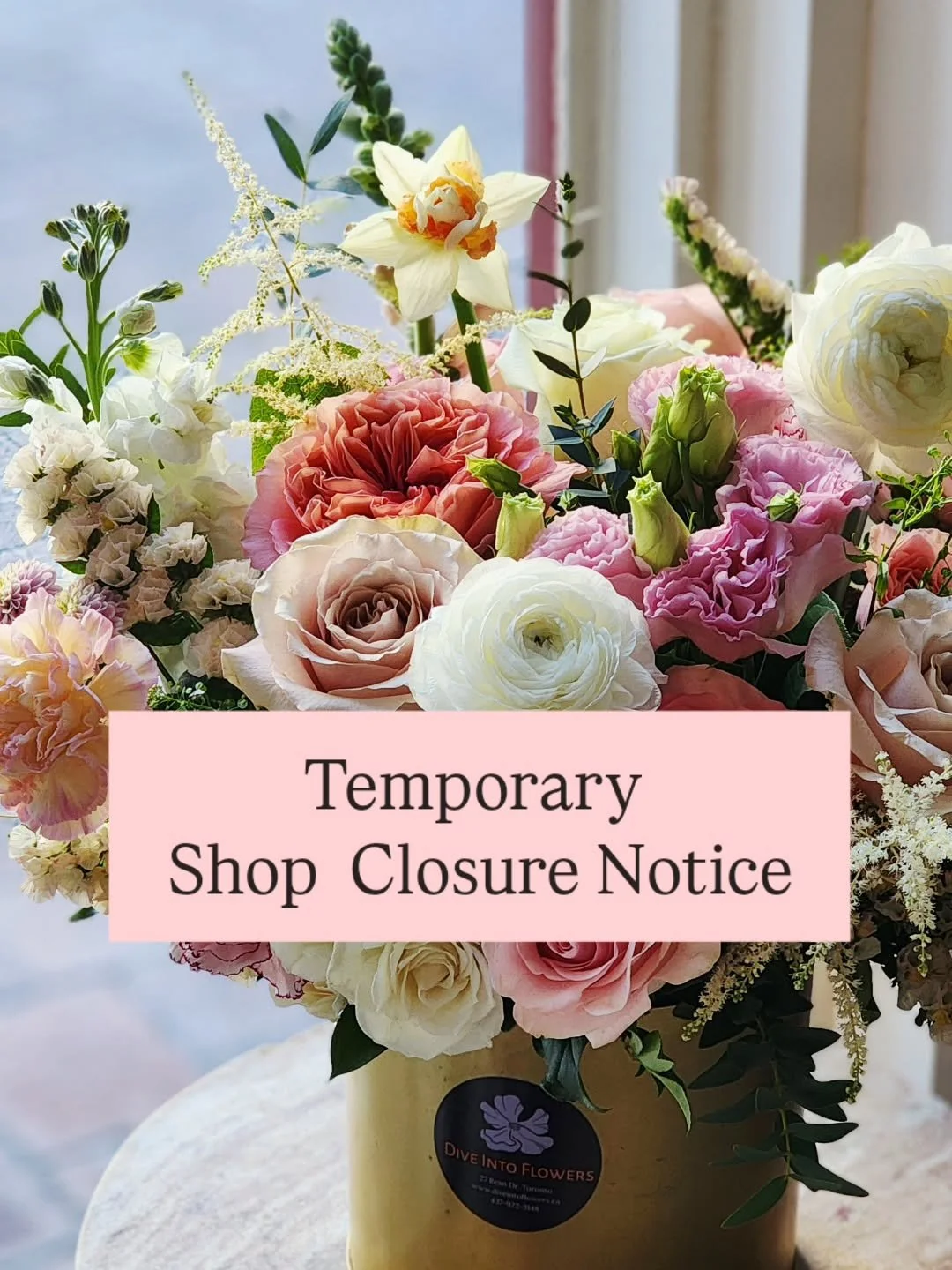 We&rsquo;ll Be Back Soon! 🌸
Temporary Closure Notice

Dive Into Flowers will be closed for one week from March 9th to March 15th.
Orders can still be placed online for delivery beginning March 16th.

If you have any inquiries, questions, or concerns