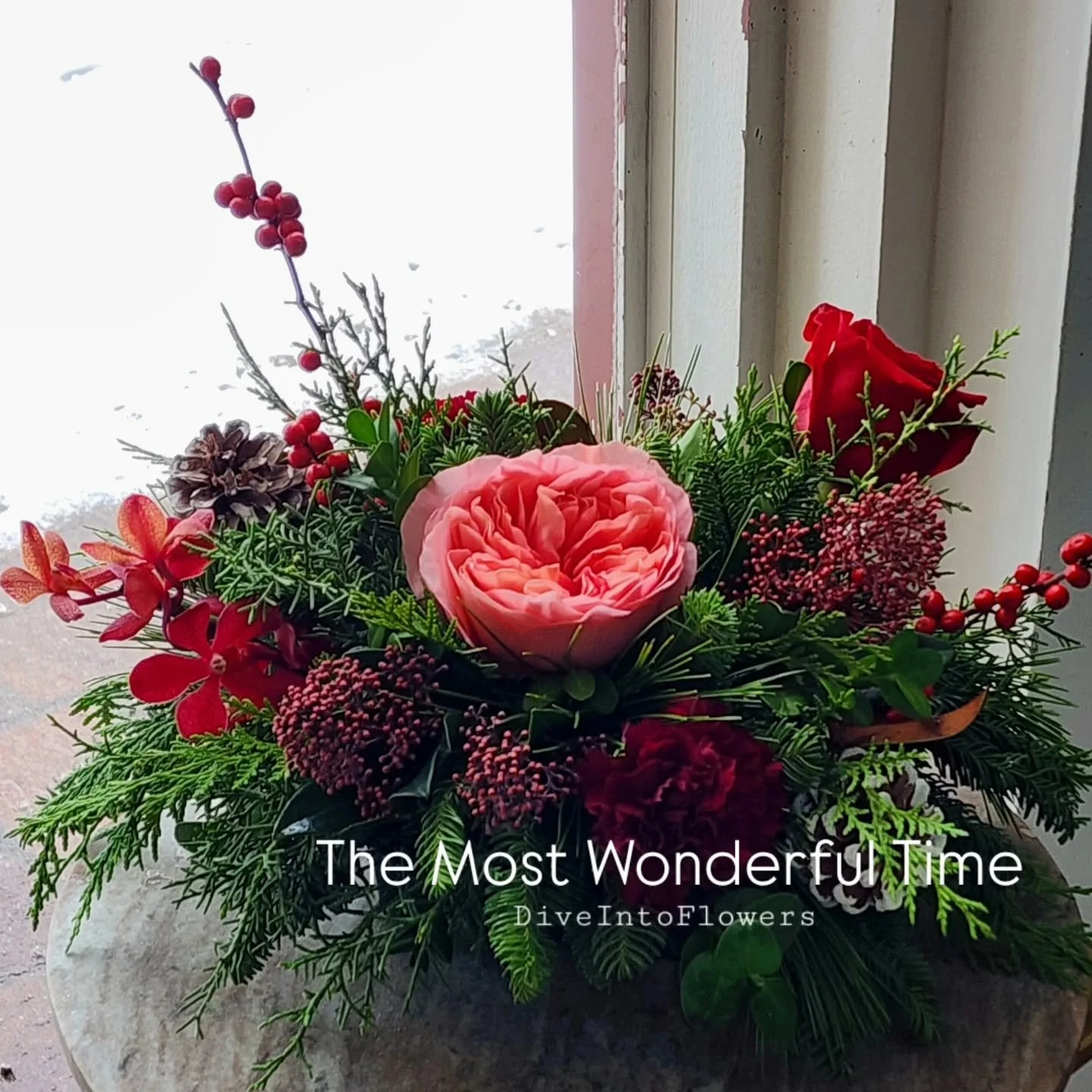 Stepping into the most wonderful time. Snow falling outside, festive holiday warmth inside. The most wonderful time with you. 
#diveintoflowers #Whitesnow #winterdecor #festivevibes✨ #bayviewvillage