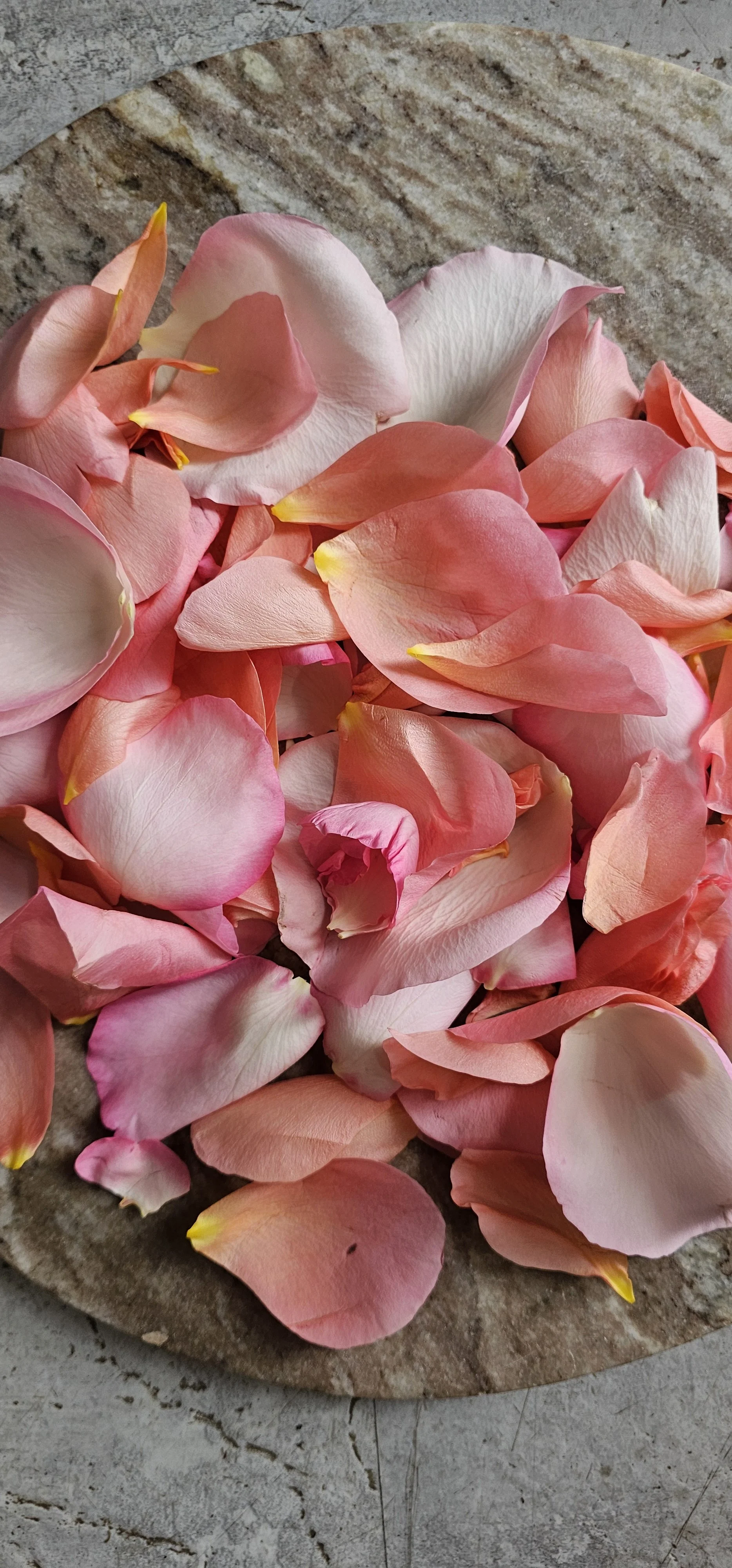 Rose Petals