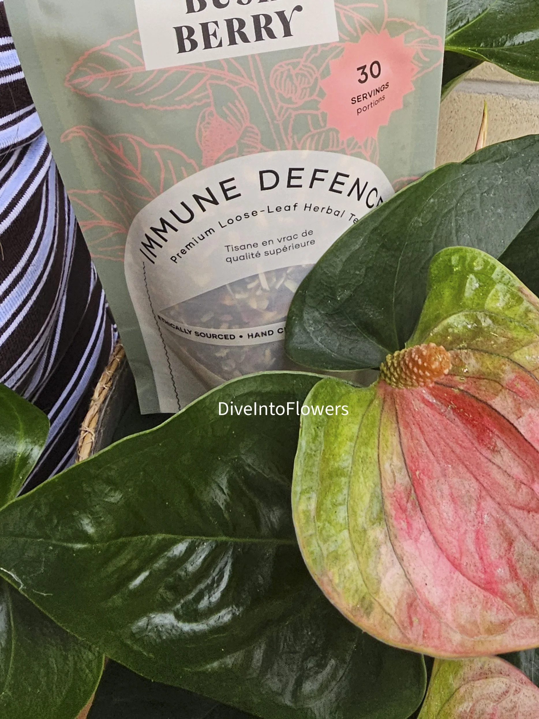 plant and tea-diveintoflowers.jpg