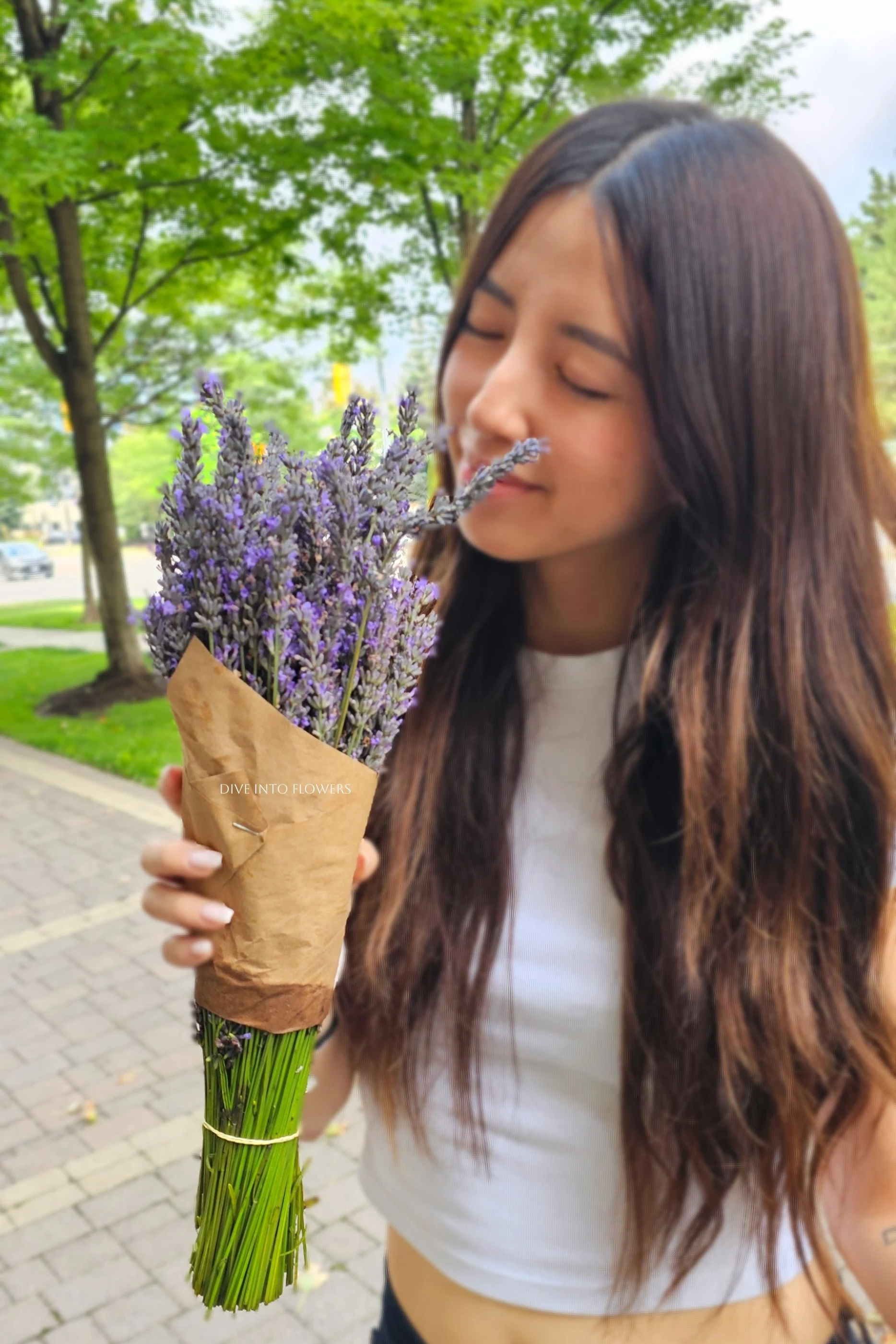 fresh+lavender+bunch.png