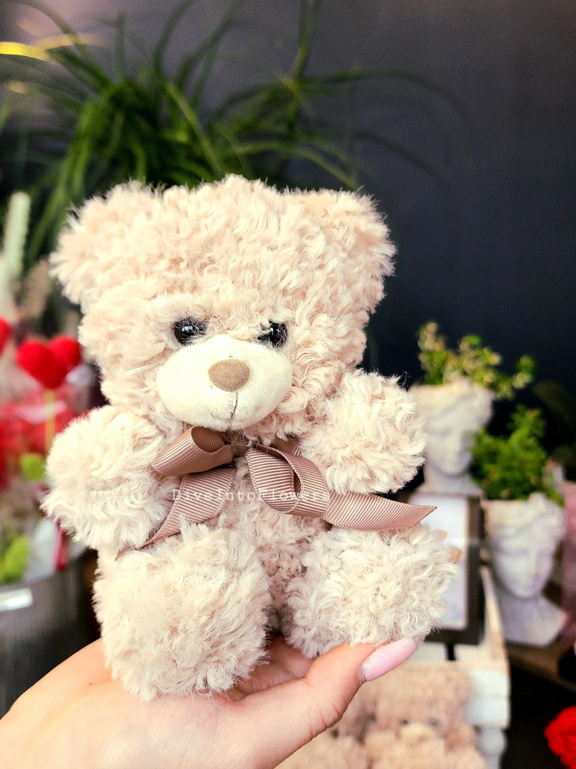 Small Teddy Bear in a bag