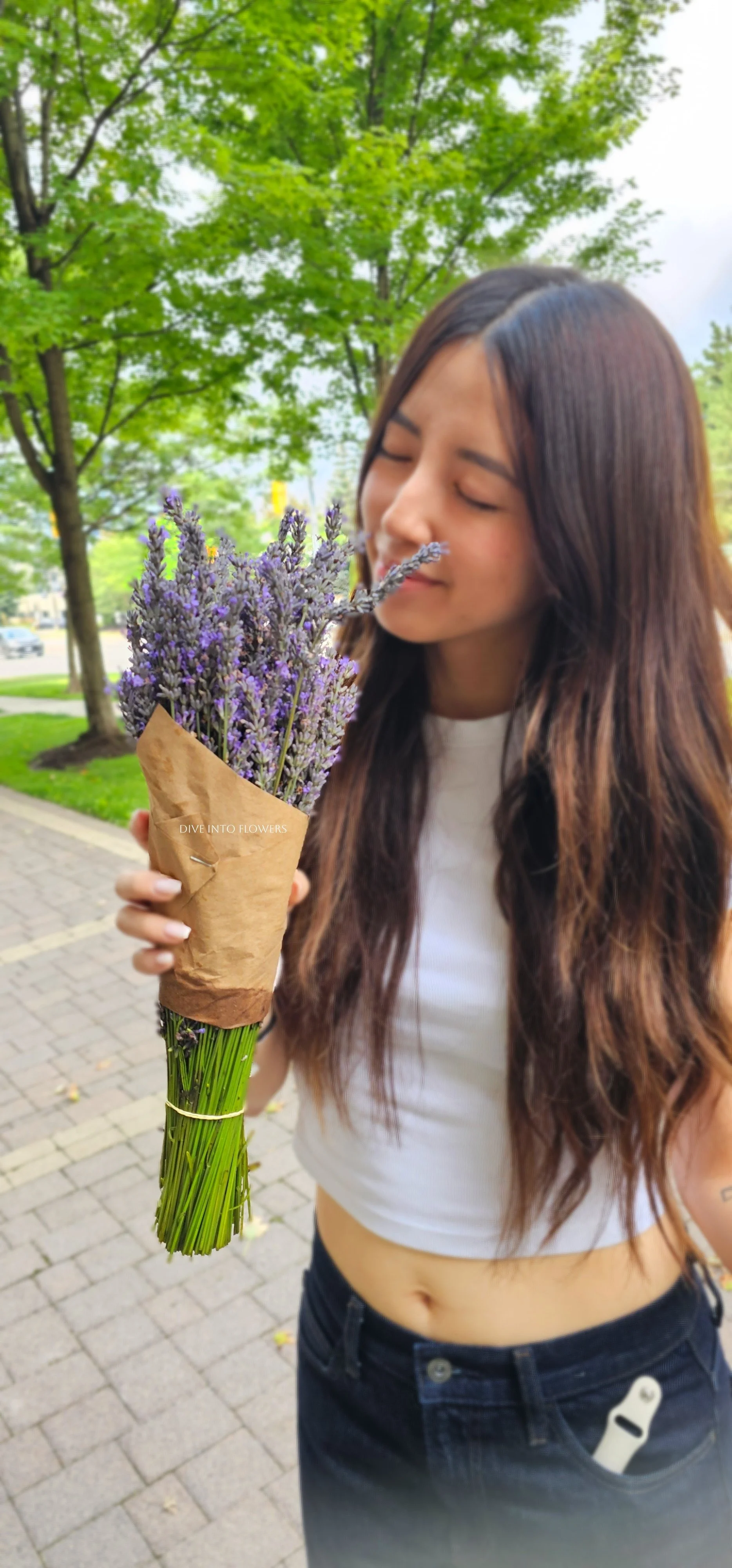 Fresh Lavender Bunch - Limited Edition!