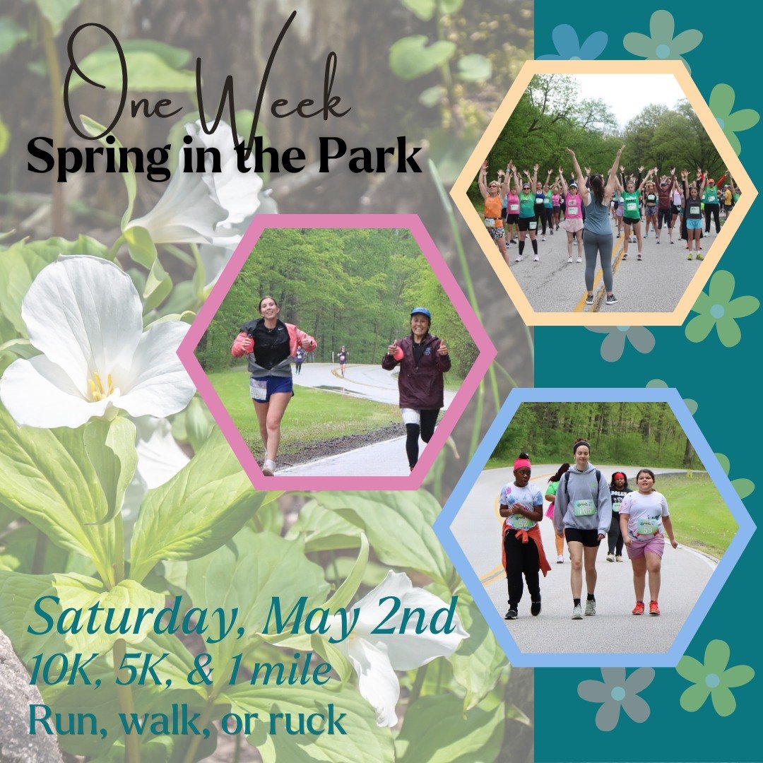 🌸 ONE WEEK until Spring in the Park! 🌸

The Women&rsquo;s 10K/5K is almost here, and this is your moment to jump in!

Join hundreds of women for a morning filled with movement, motivation, and springtime energy. Whether you&rsquo;re chasing a PR, w