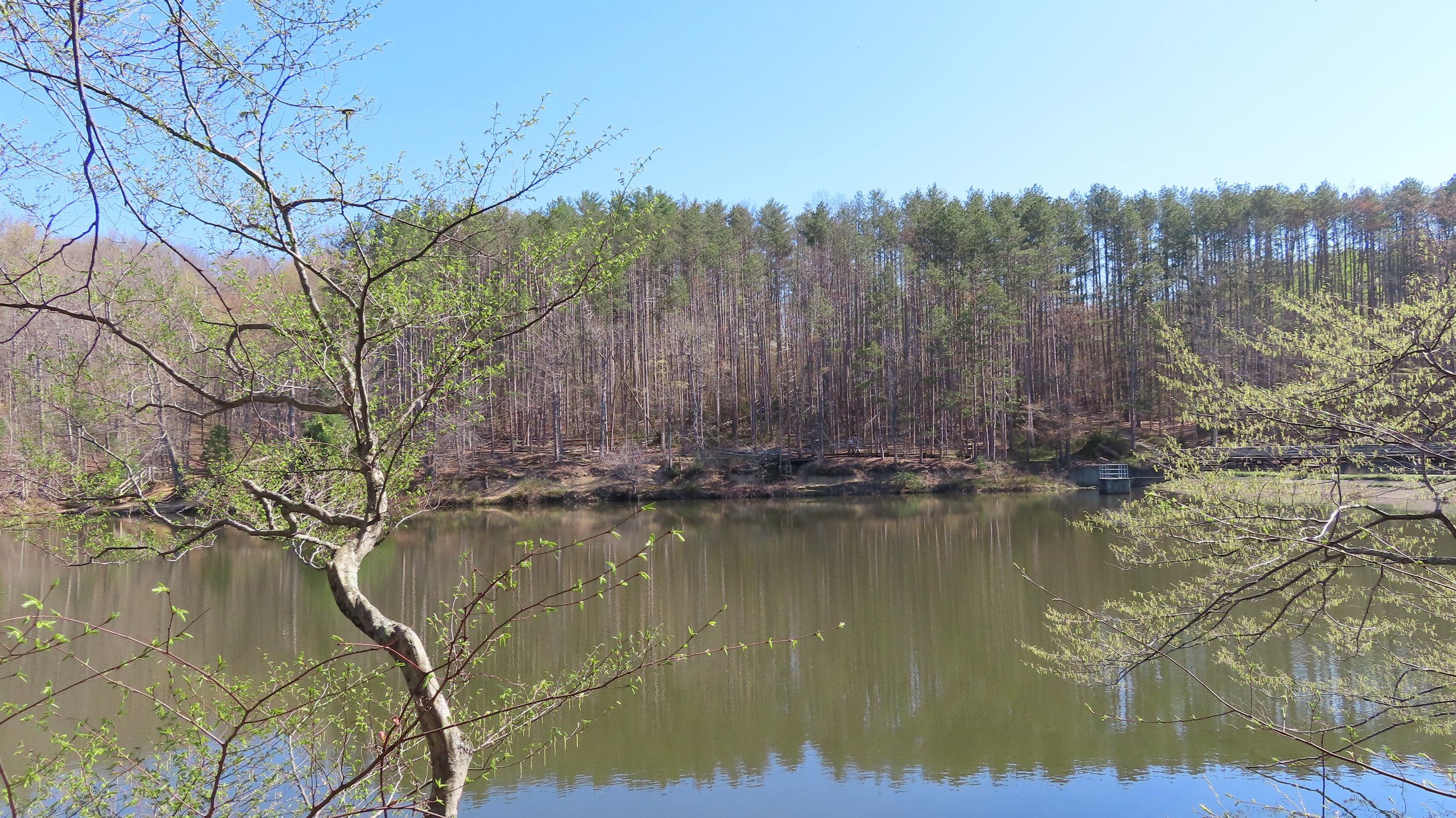 Hike15.jpg