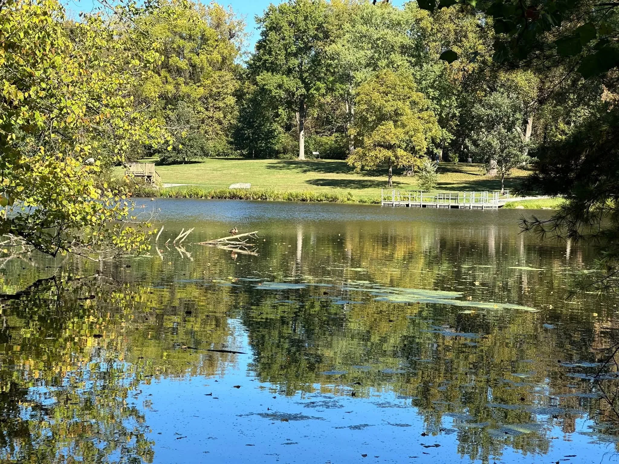 Lake.jpg