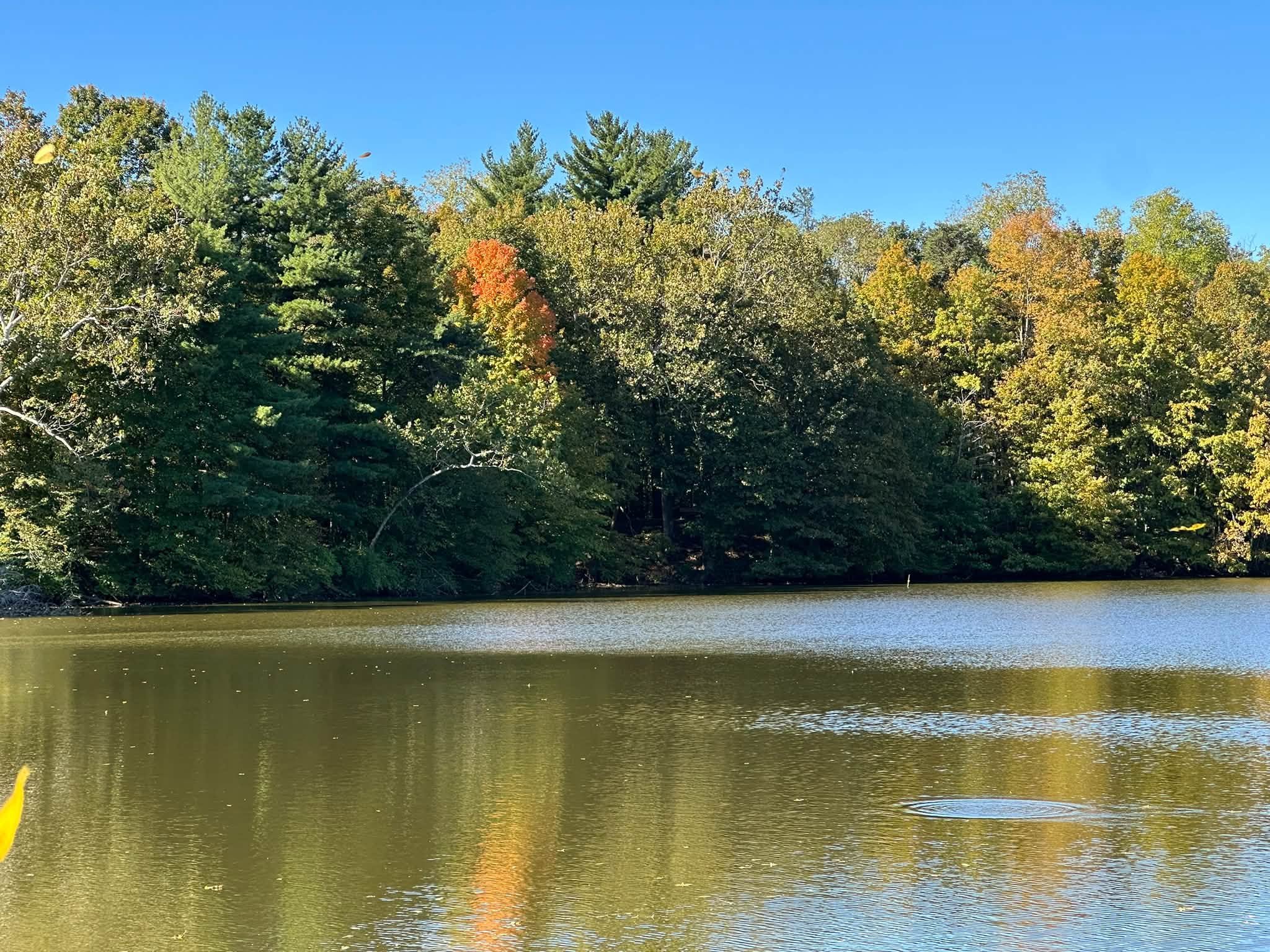 Lake 2.jpg