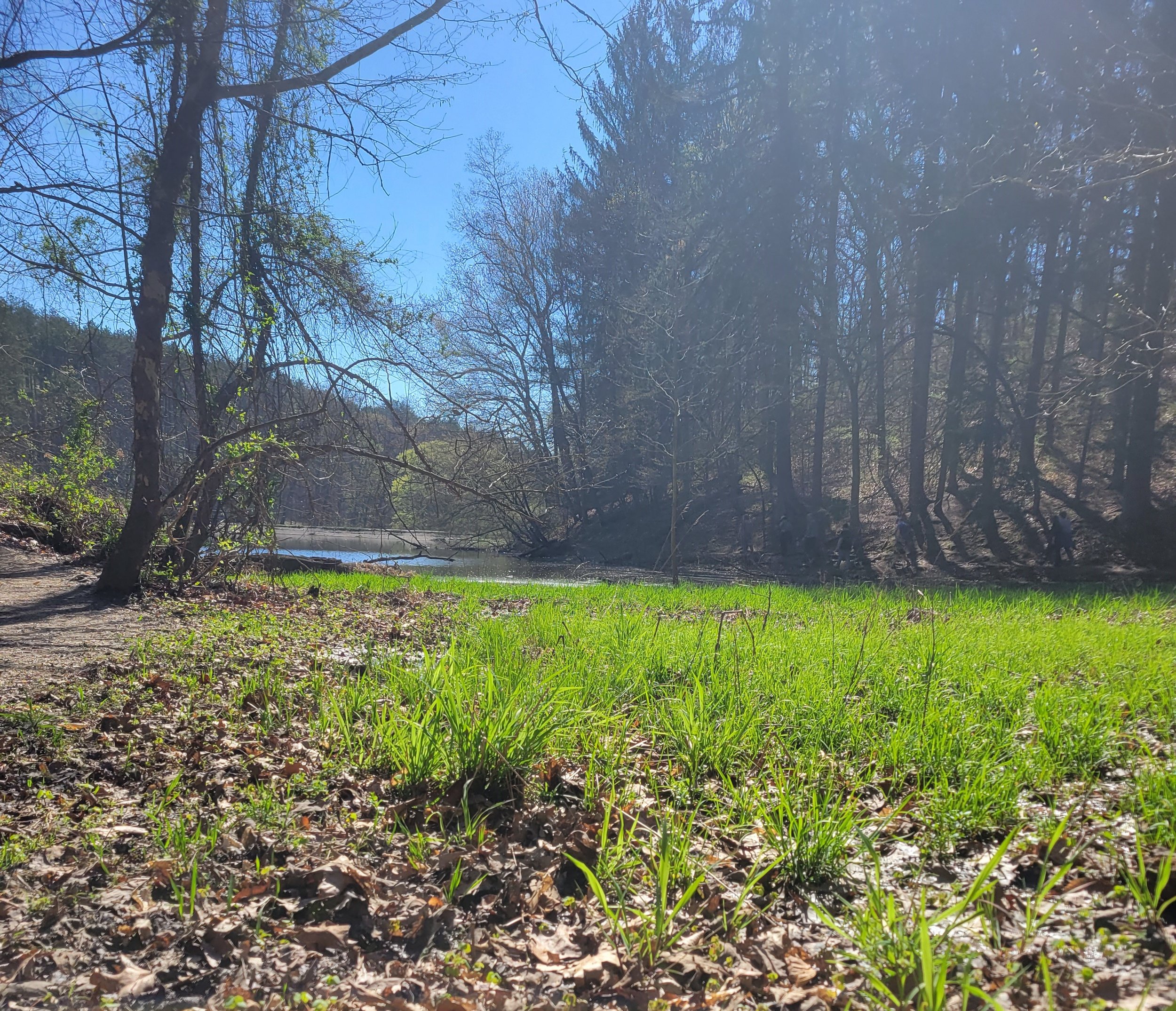 Hike13.jpg