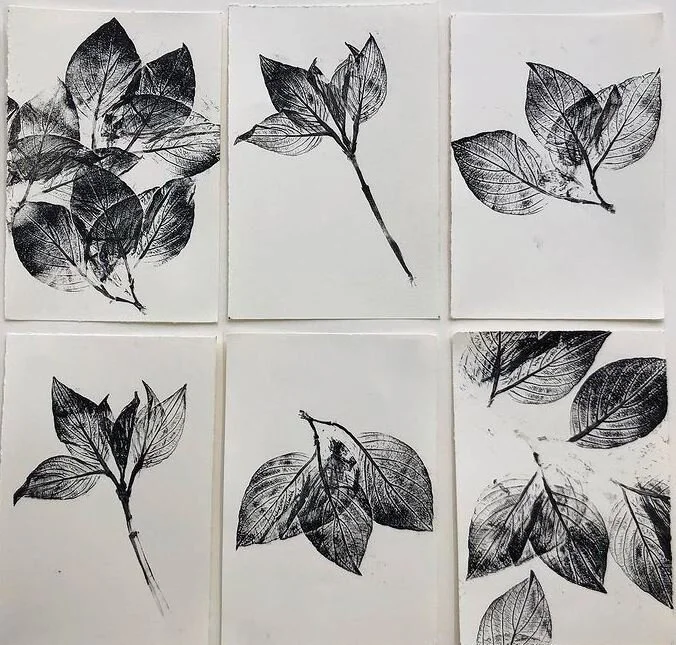 leaves.jpg