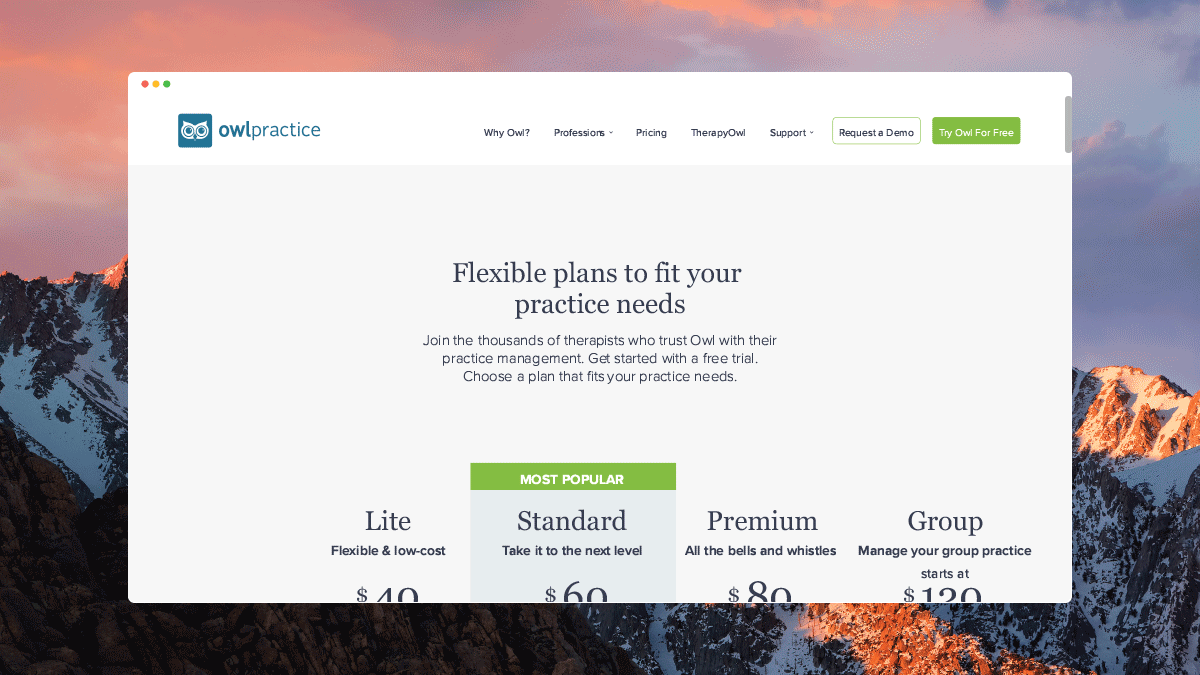 pricing-webpage-mockup.gif
