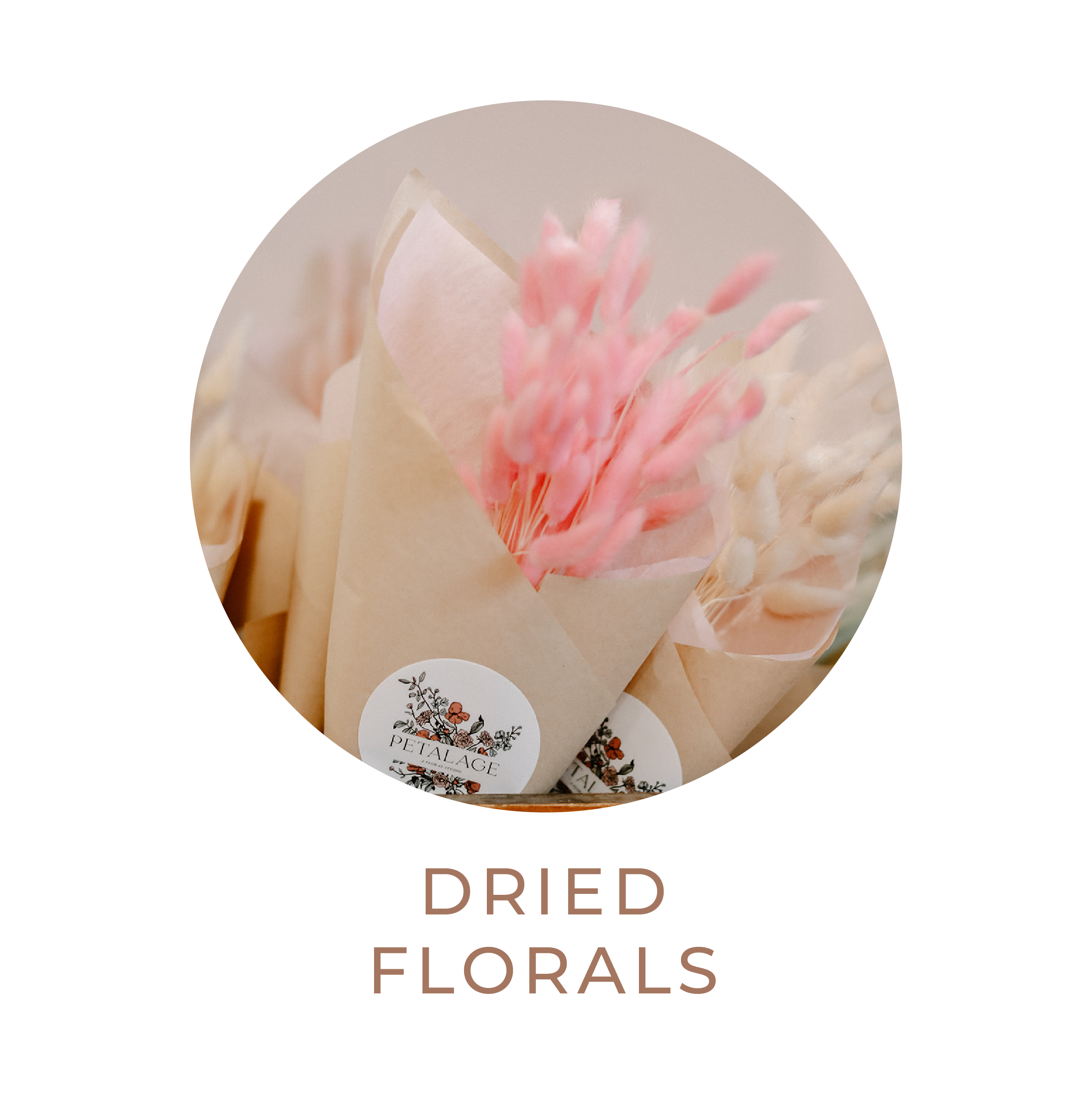 Send Plants — Petalage Florals