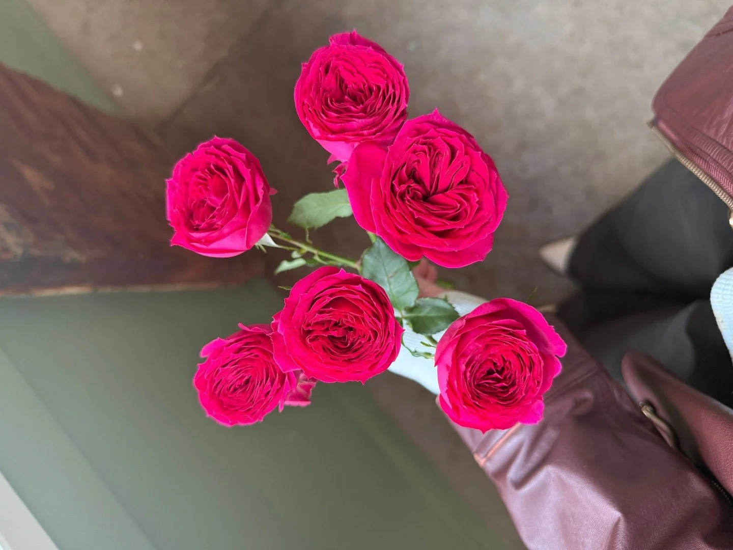 A moment of pause because my brain isnt functioning anymore