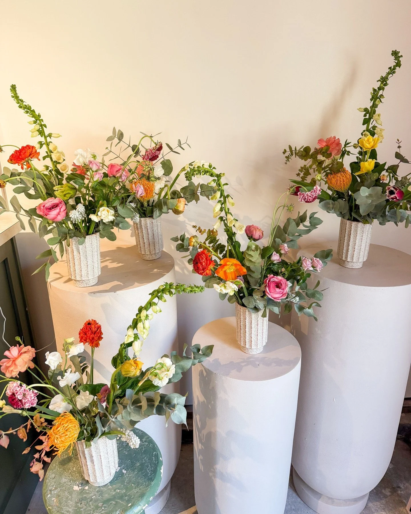 Spring into full swing!  We&rsquo;ll have flowers this week!! Order online for pick-up or delivery. 🚚 🌼