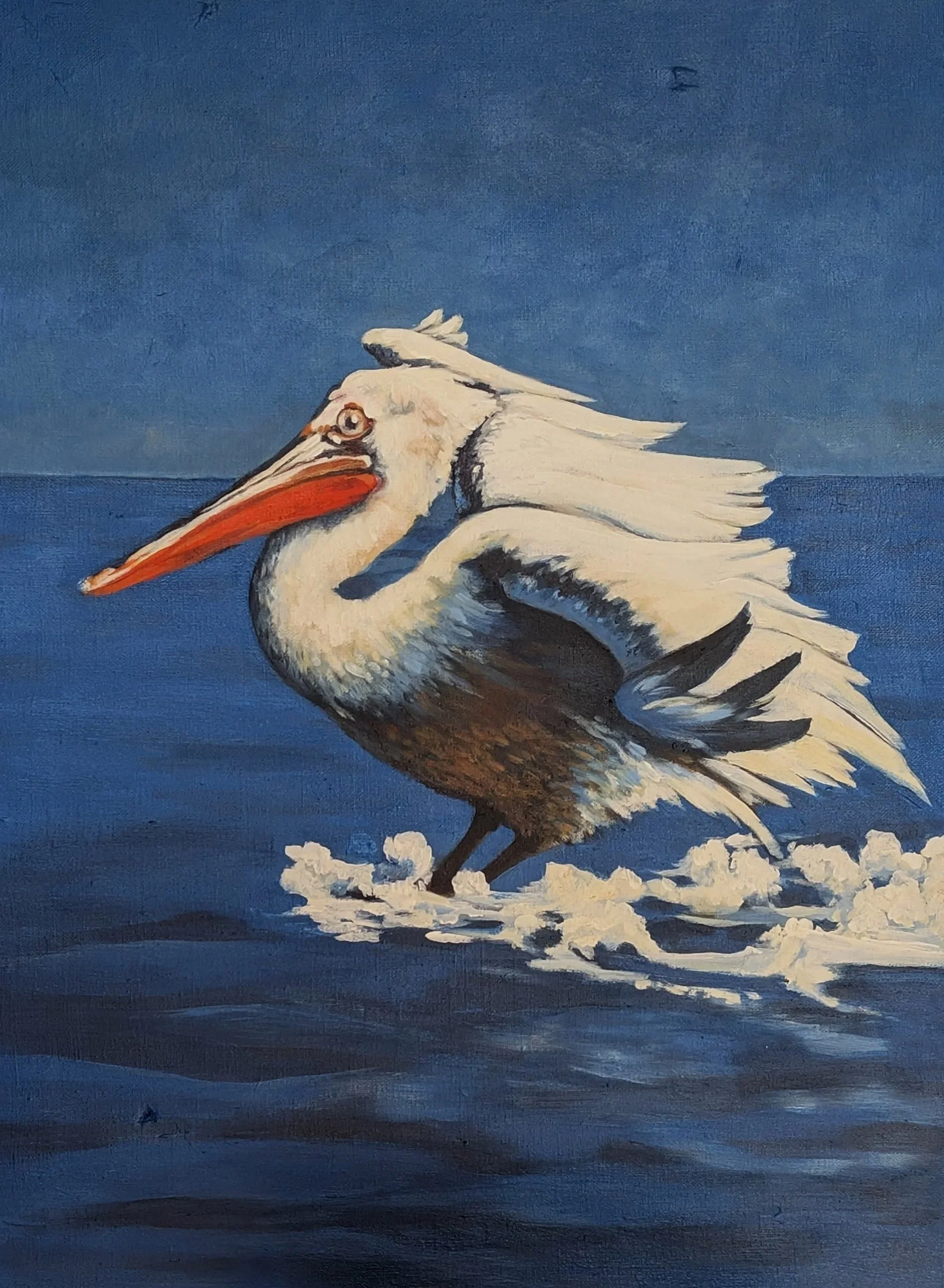 Pelican surfing - acrylic on canvas