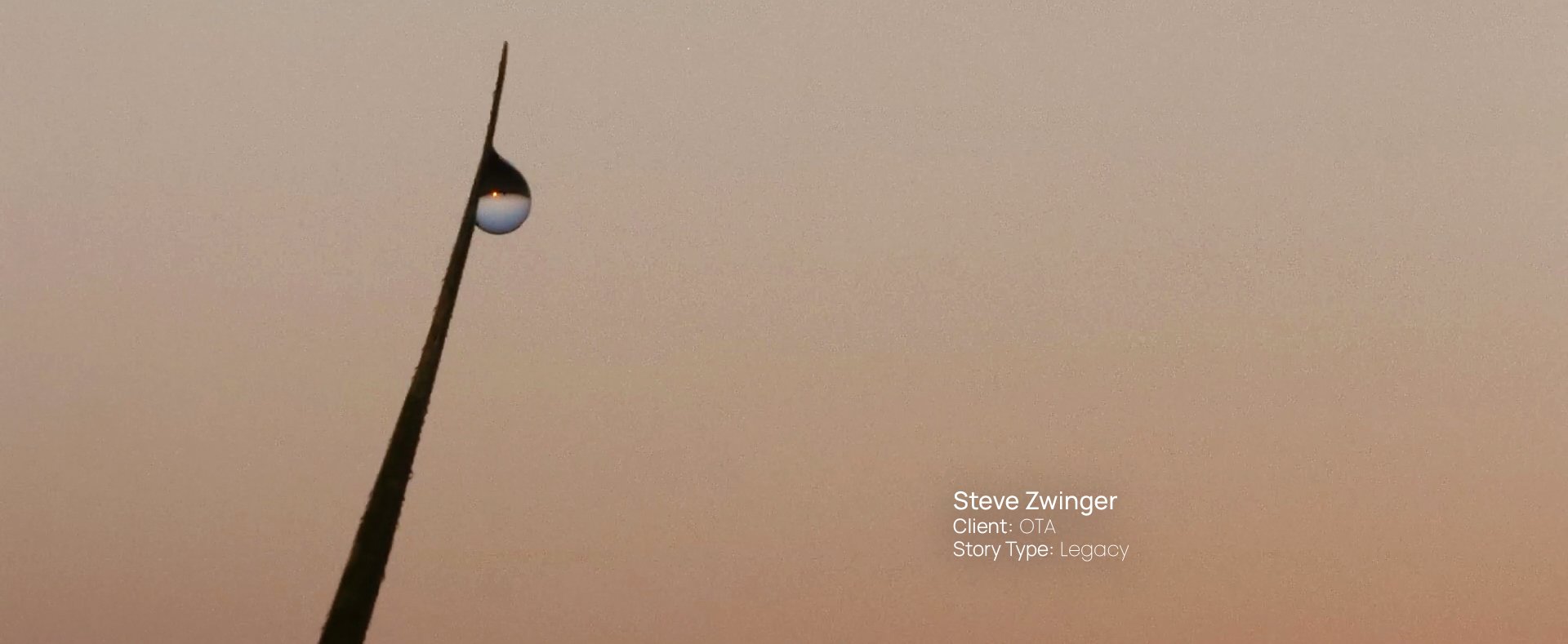 Close-up of a blade of grass holding a droplet of water that is reflecting the sunrise against a pink sky, still from a Passenger Productions legacy documentary about Steve Zwinger