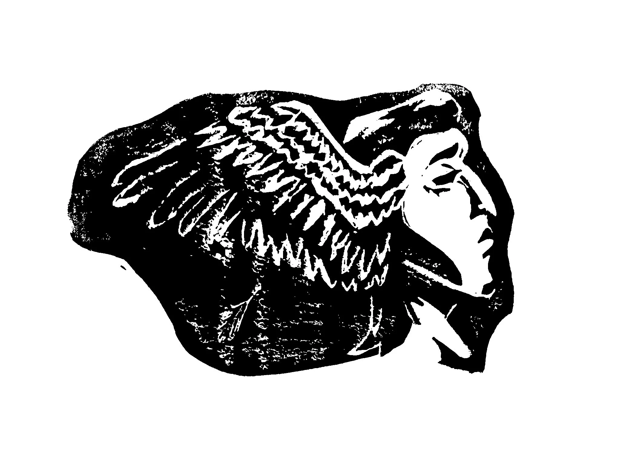 Corvus, 5x7, Linocut Print
Description: A bust of a figure with a long face and a sharp aquiline nose. Wings spread from the side of their head.