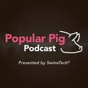 popular-pig-podcast.jpeg