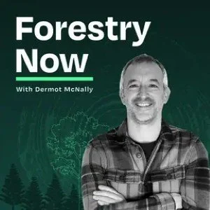 forestry-now.jpeg