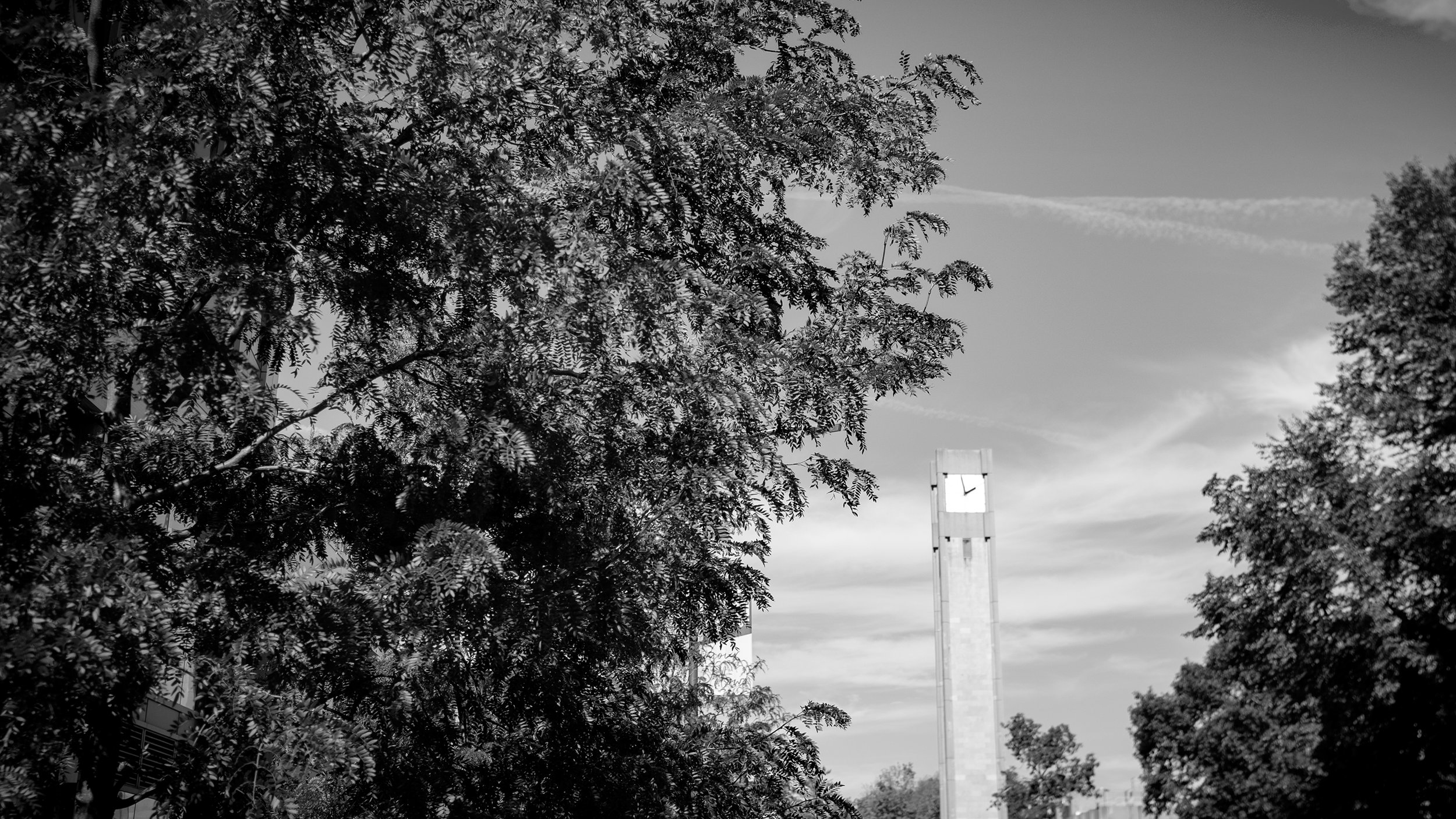 DSCF9902.jpg