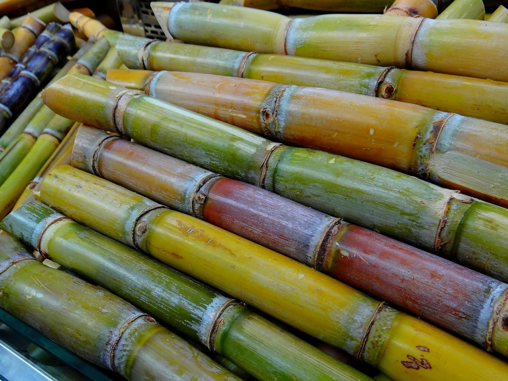 Sugarcane stacked in a market stall