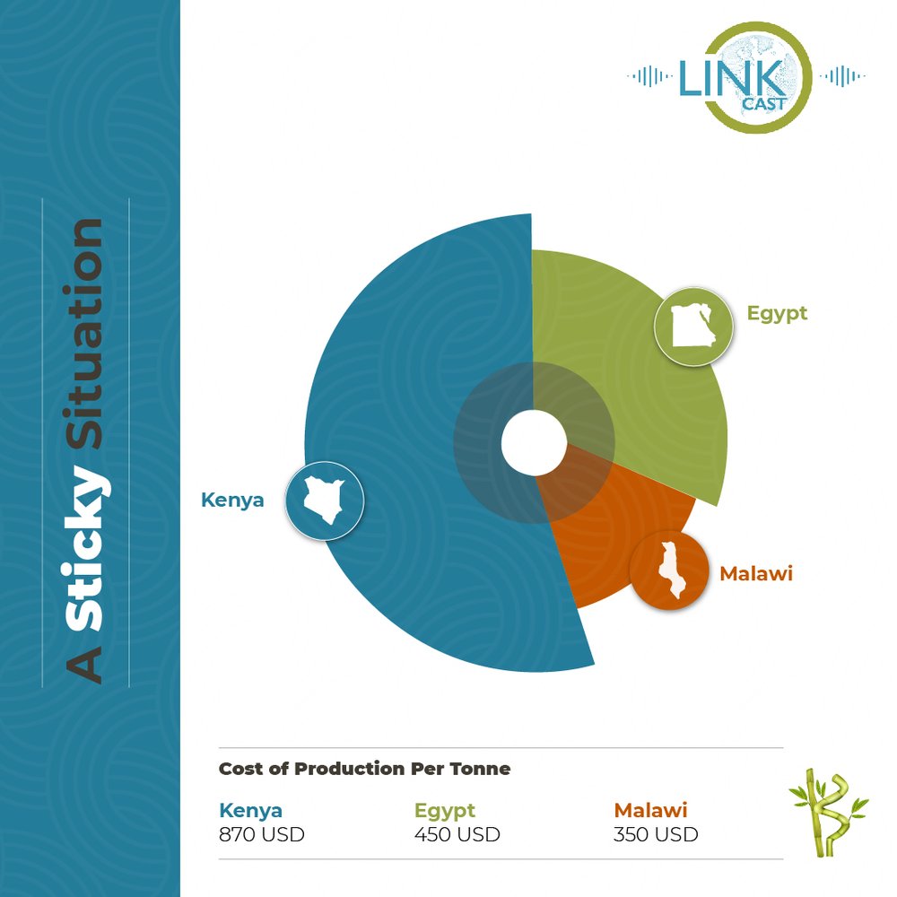 Link Cast Pie Chart-100.jpg