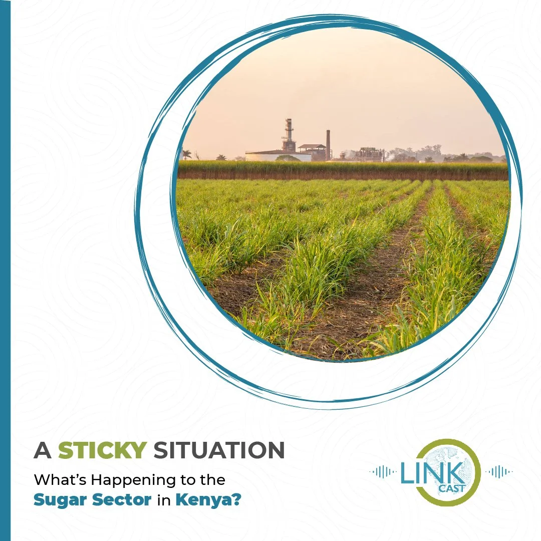 A Sticky Situation: What's Happening to the Kenya Sugar Industry?