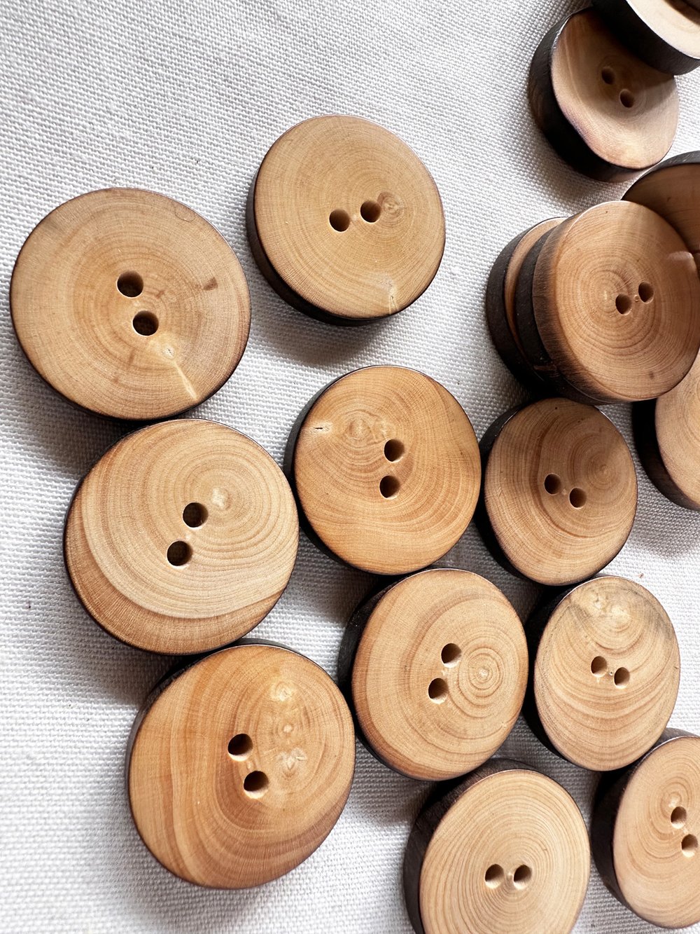 Trench Coat Buttons Per 6 — L'Etoffe Fabrics Online
