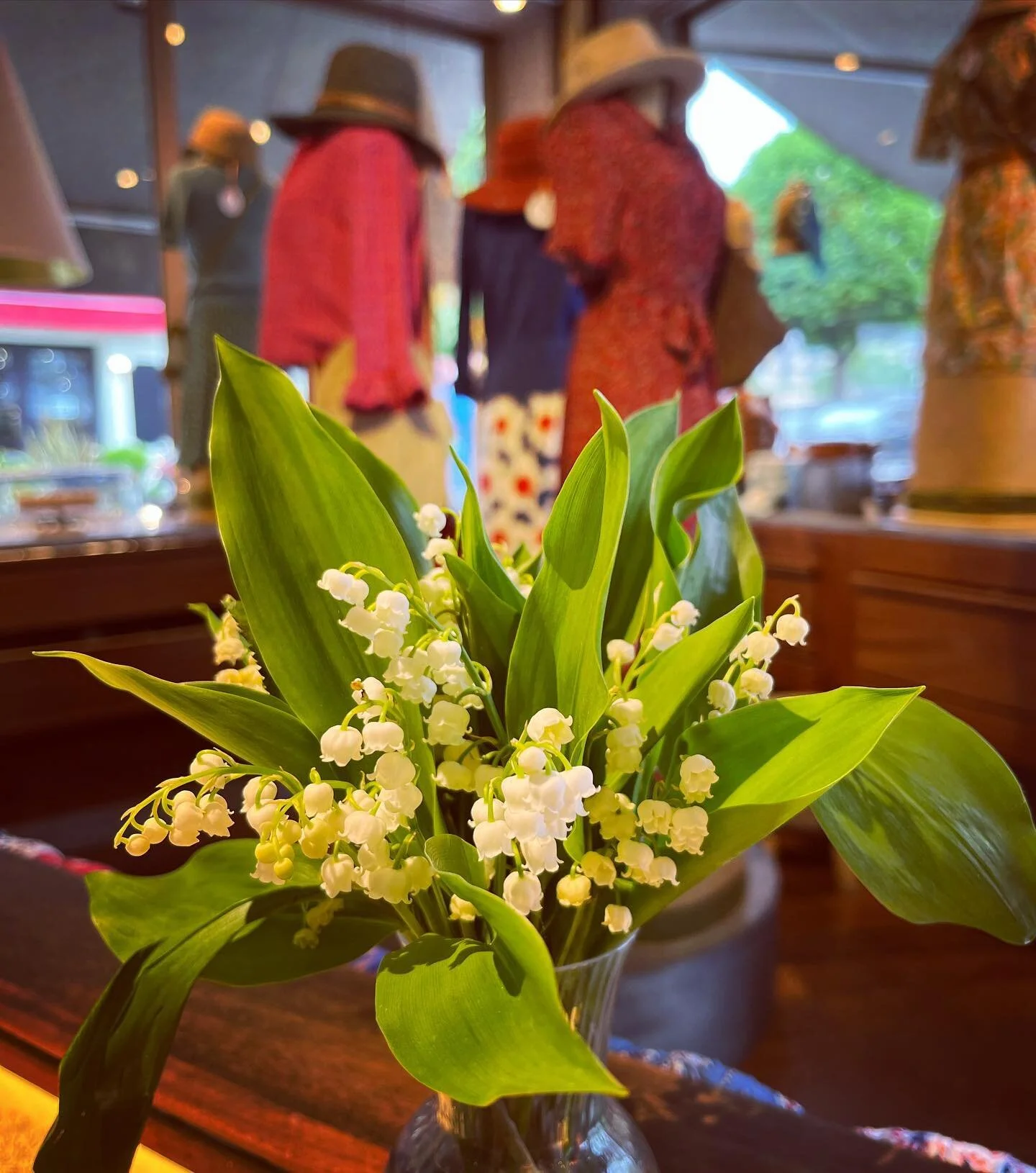 On vous souhaite du bonheur, du bonheur et encore du bonheur 🍀🤍💚 

#1ermai #muguet #lilyofthevalley #honfleur #normandie #bonheur