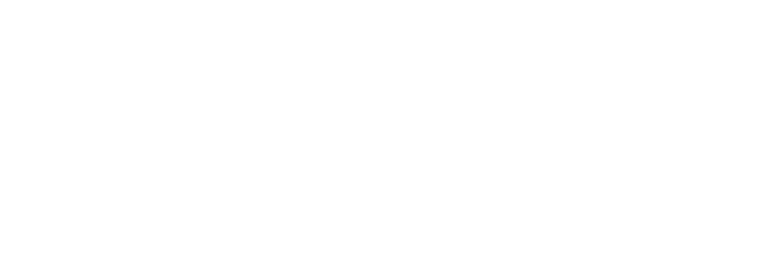 Big Star Premium Cocktails