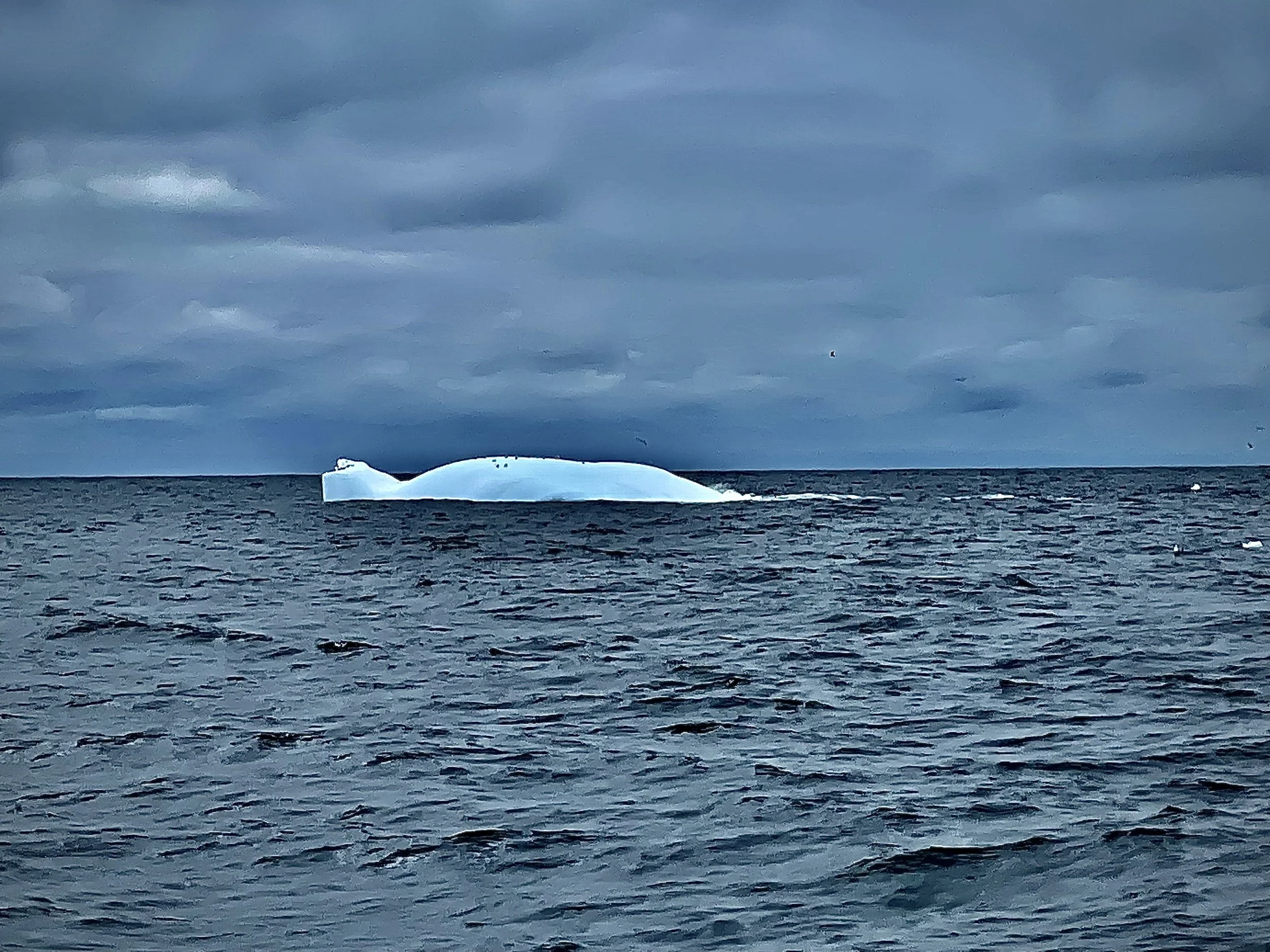 Crossing the Labrador Sea to Greenland 