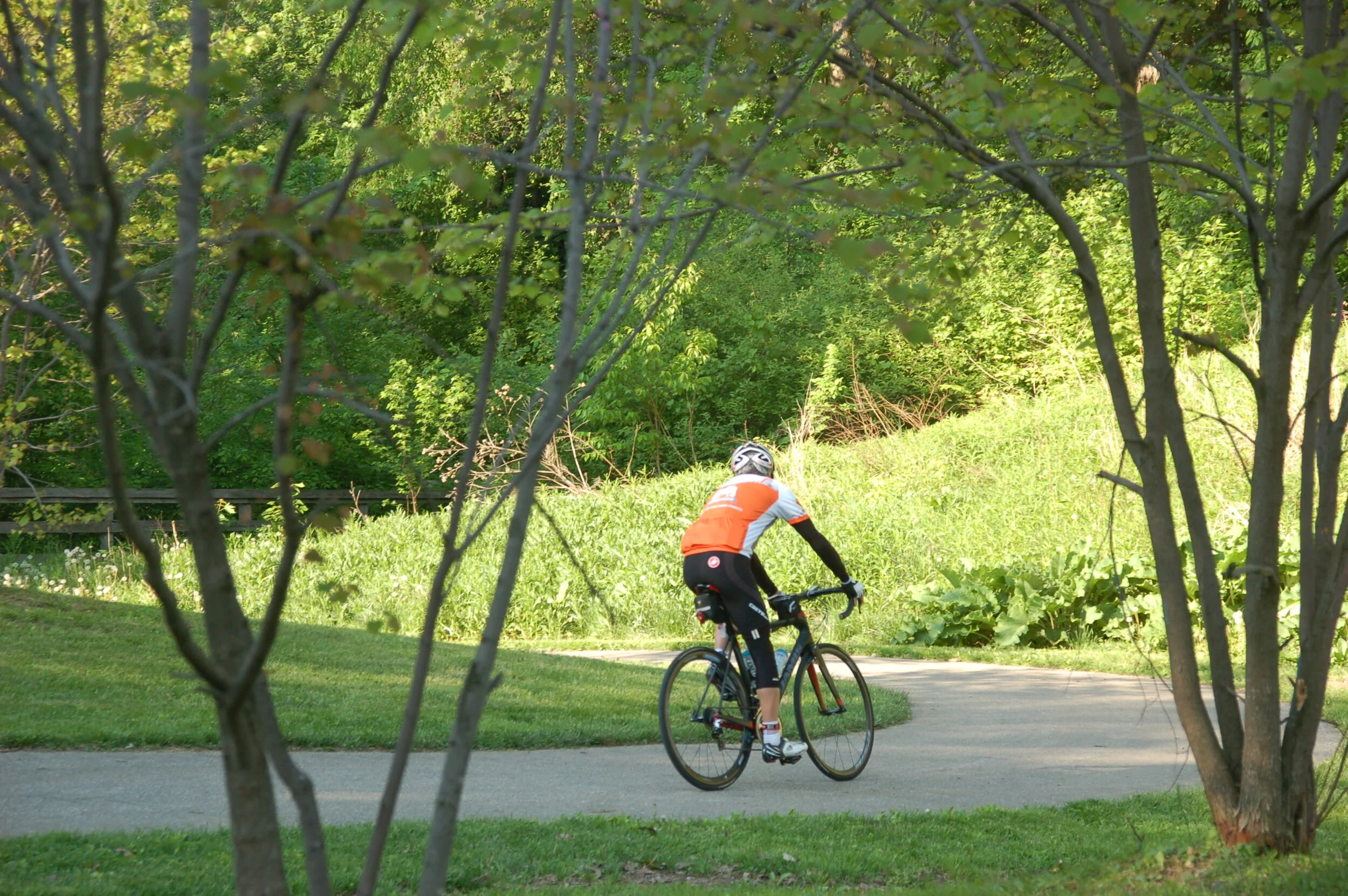 DSC_6728.JPG