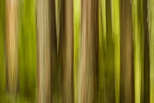 Cradled in Care: Mom and Sea Otter Pup (Copy)